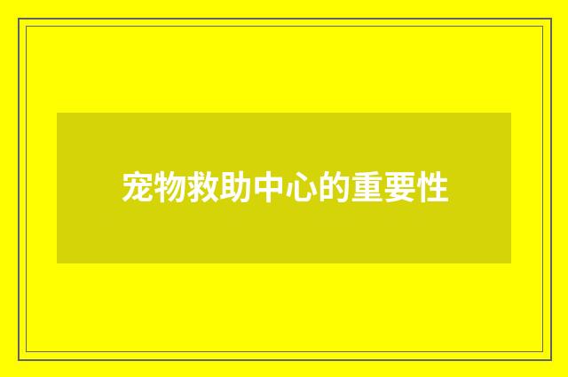 宠物救助中心的重要性