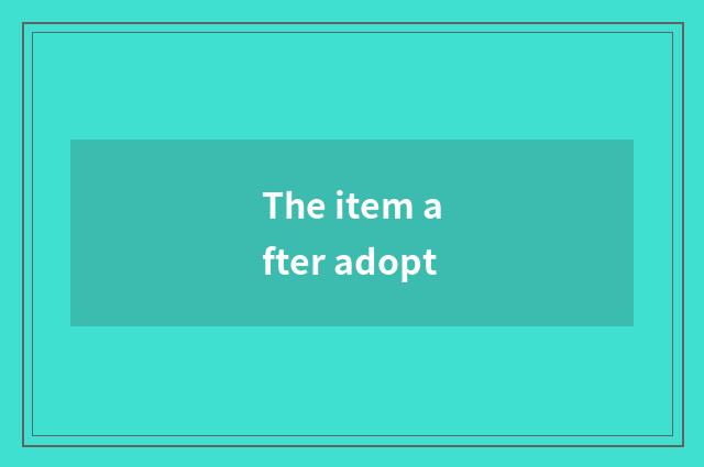The item after adopt