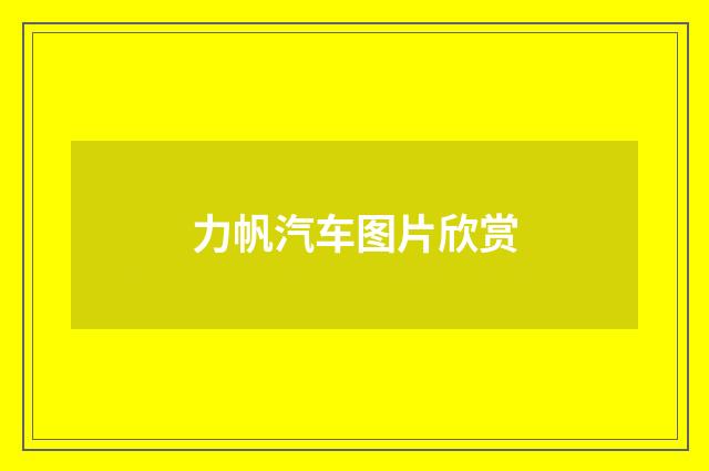 力帆汽车图片欣赏