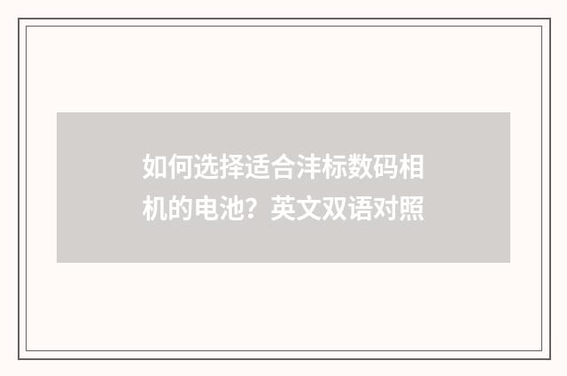 如何选择适合沣标数码相机的电池？英文双语对照