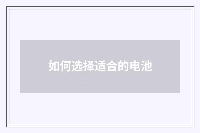 如何选择适合的电池