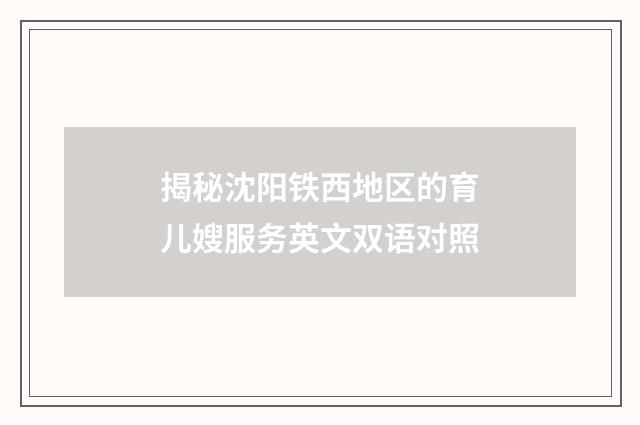 揭秘沈阳铁西地区的育儿嫂服务英文双语对照