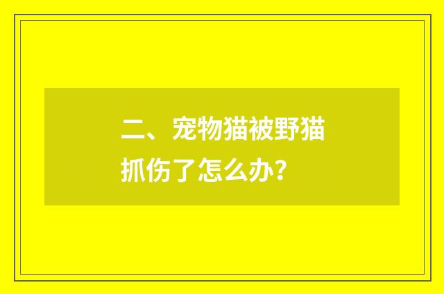 二、宠物猫被野猫抓伤了怎么办？