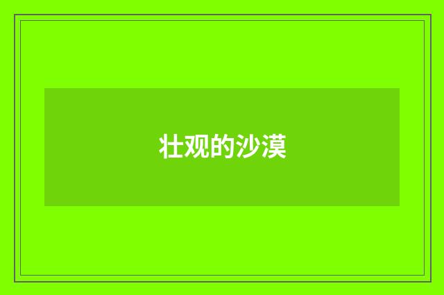 壮观的沙漠