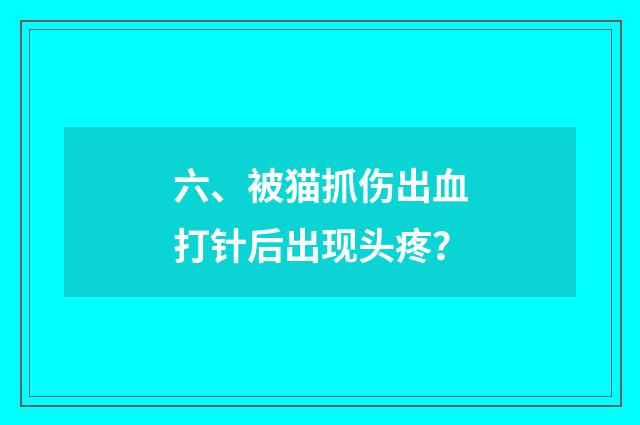 六、被猫抓伤出血打针后出现头疼？