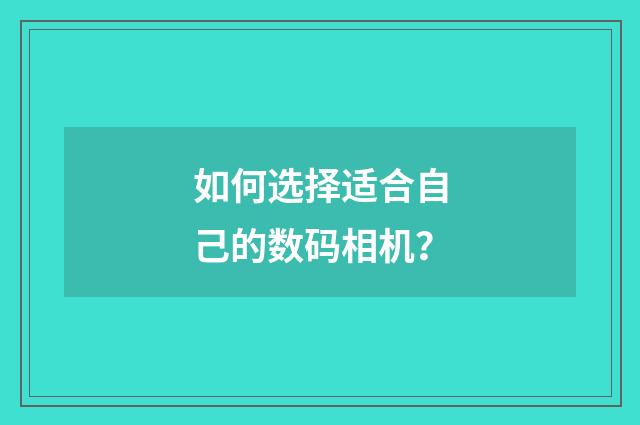 如何选择适合自己的数码相机？