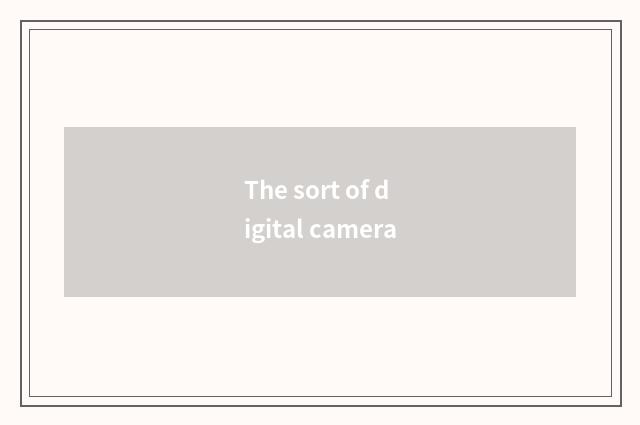 The sort of digital camera