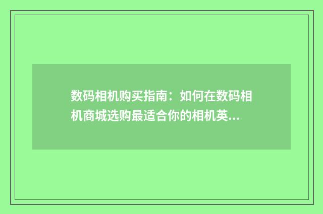 数码相机购买指南：如何在数码相机商城选购最适合你的相机英文双语对照