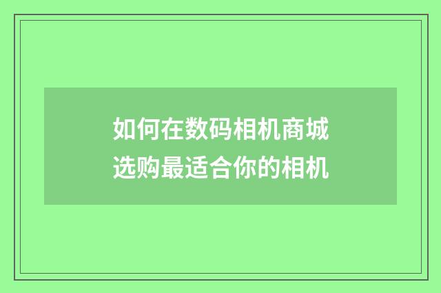 如何在数码相机商城选购最适合你的相机