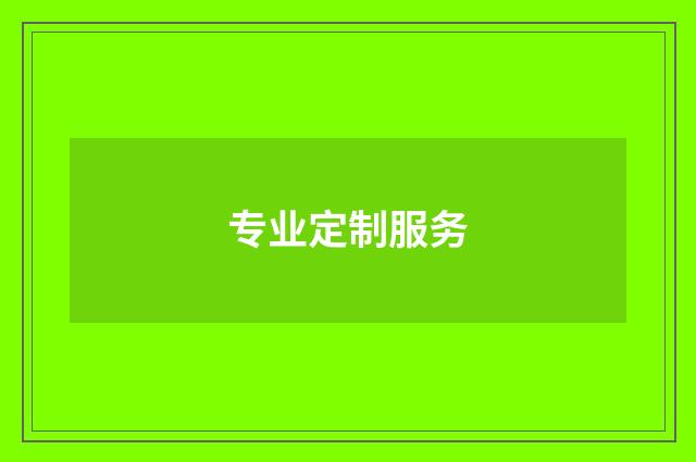专业定制服务
