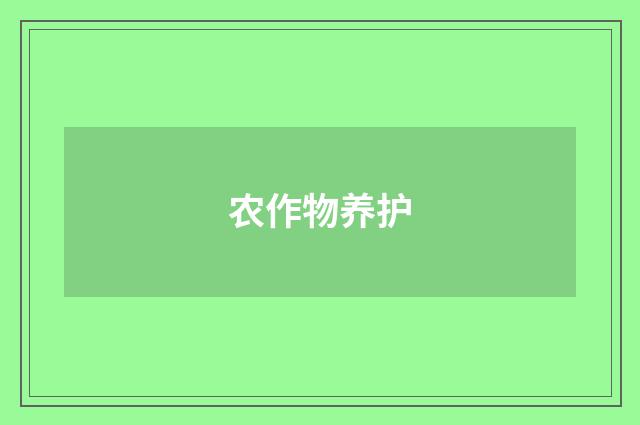 农作物养护