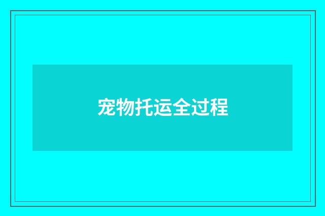 宠物托运全过程