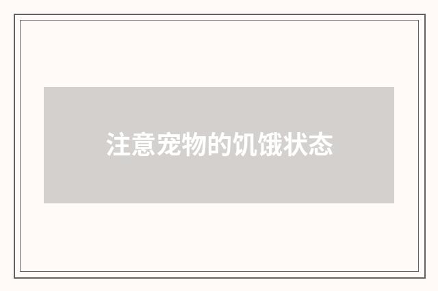 注意宠物的饥饿状态