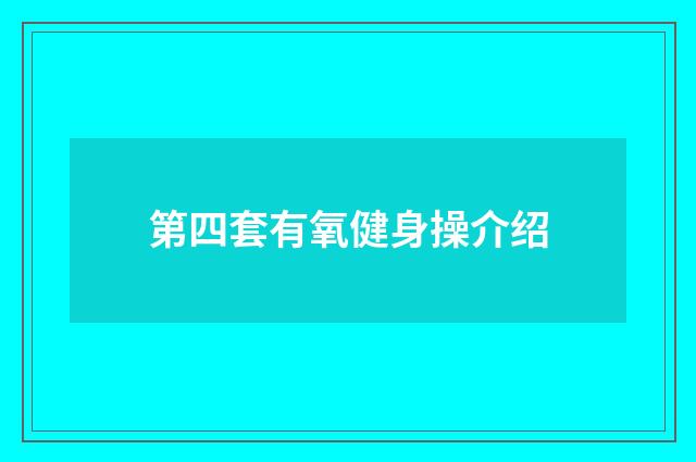 第四套有氧健身操介绍
