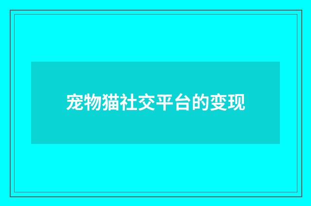 宠物猫社交平台的变现