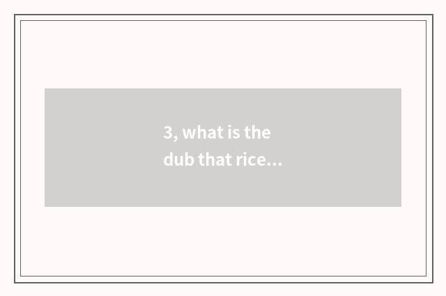 3, what is the dub that rice of 4399 little game pulls strange battle to write d