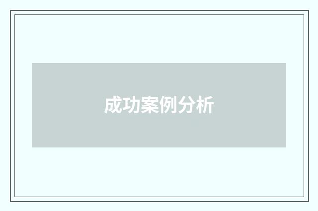 成功案例分析