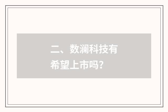 二、数澜科技有希望上市吗？