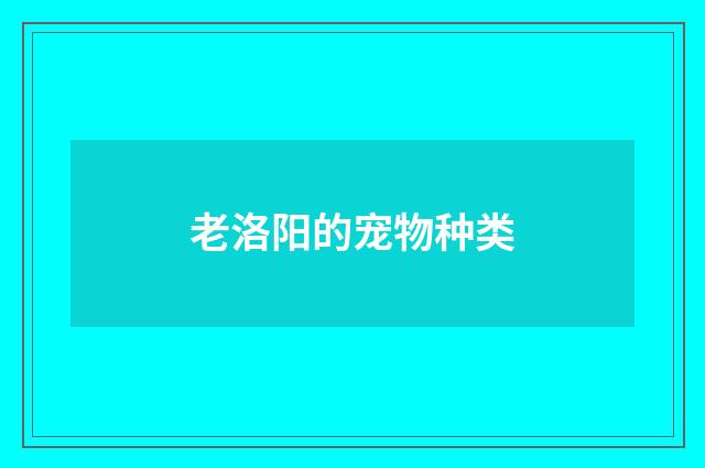 老洛阳的宠物种类