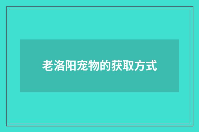 老洛阳宠物的获取方式