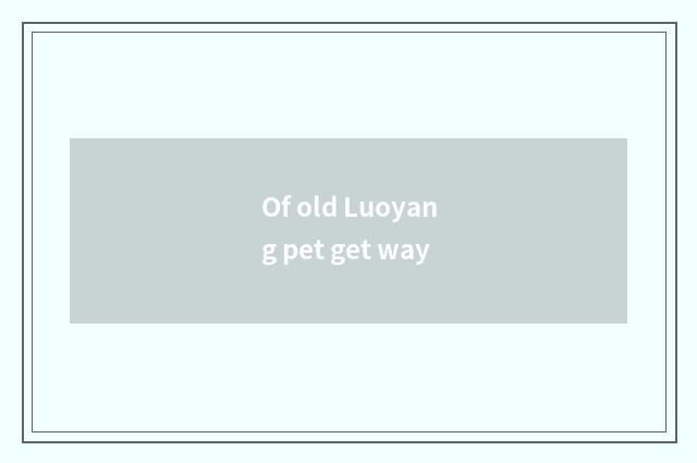 Of old Luoyang pet get way