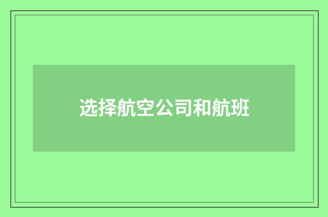 选择航空公司和航班