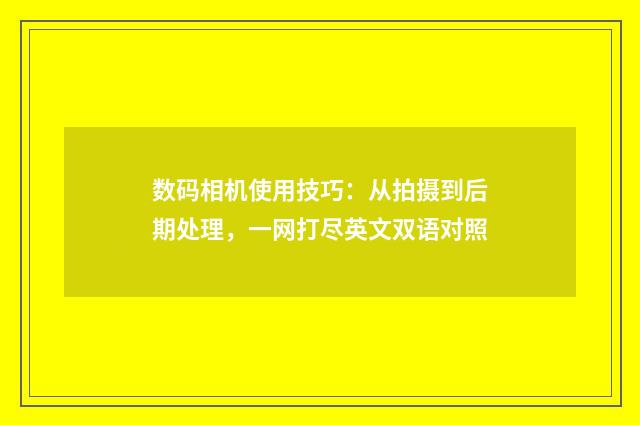 数码相机使用技巧：从拍摄到后期处理，一网打尽英文双语对照