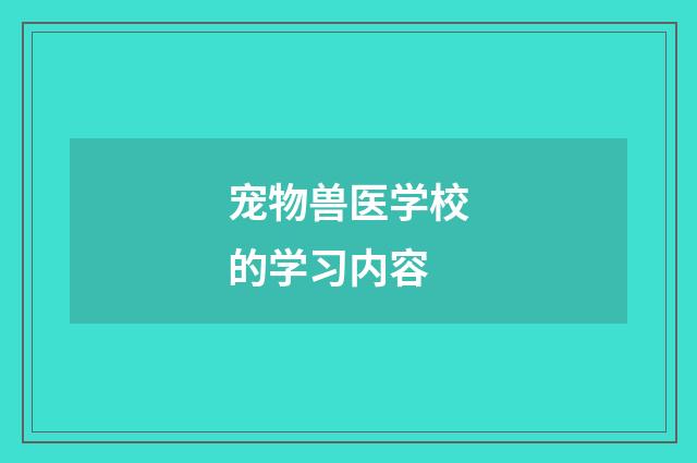 宠物兽医学校的学习内容