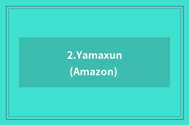 2.Yamaxun (Amazon)