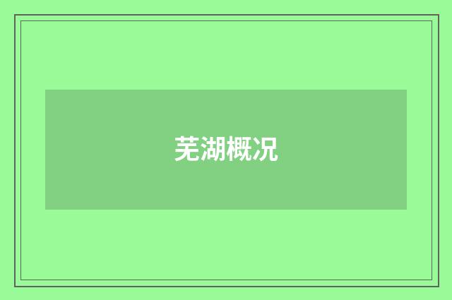 芜湖概况