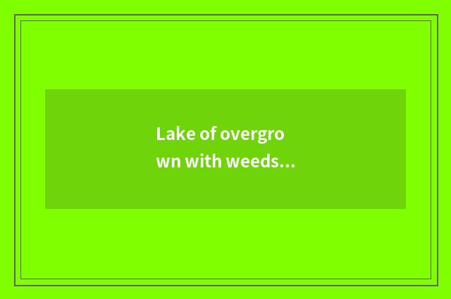 Lake of overgrown with weeds shops