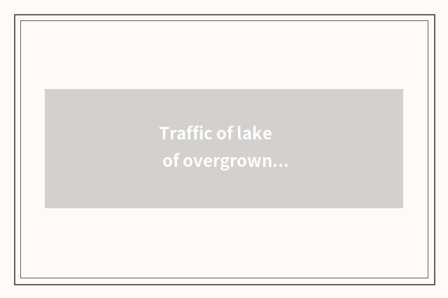 Traffic of lake of overgrown with weeds