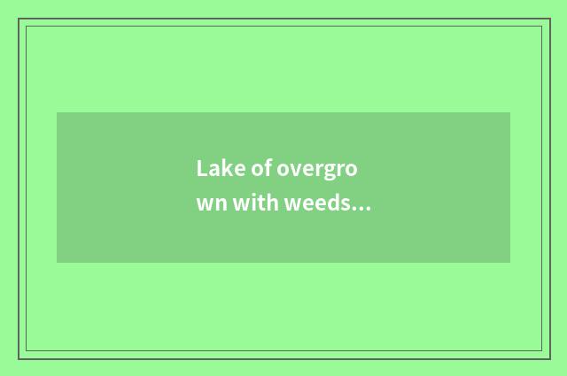 Lake of overgrown with weeds lodges
