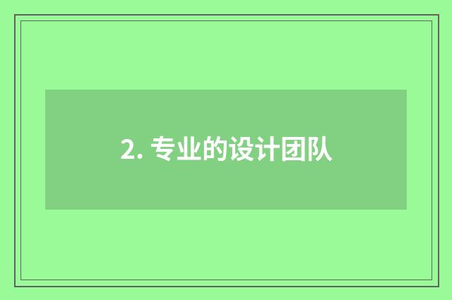2. 专业的设计团队