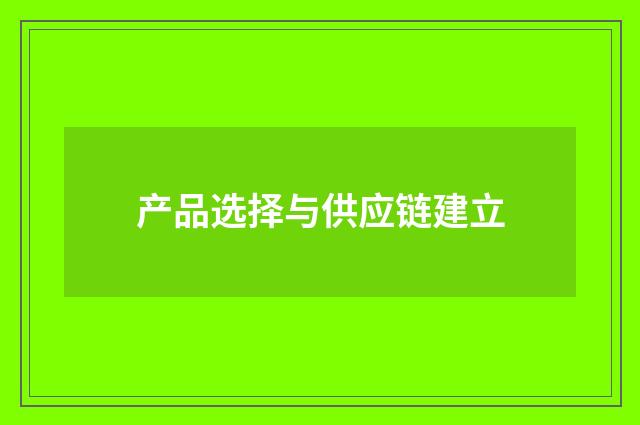 产品选择与供应链建立