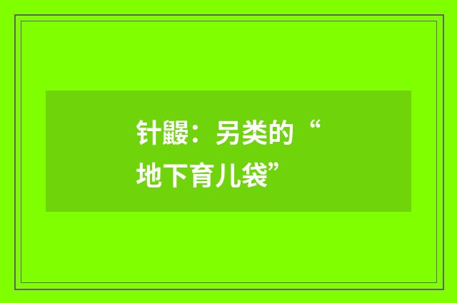 针鼹：另类的“地下育儿袋”