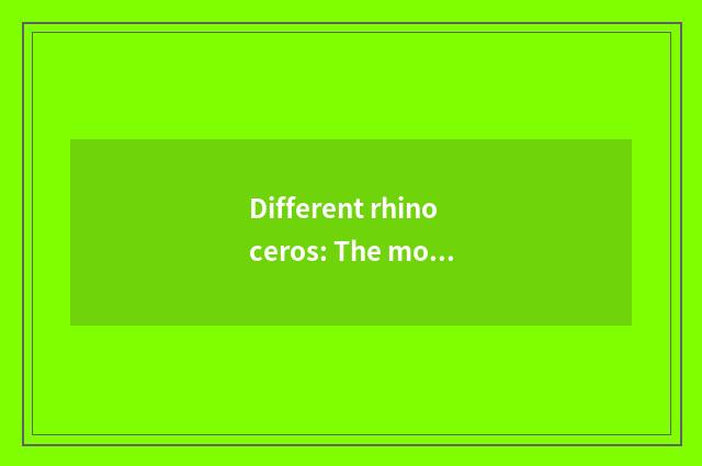 Different rhinoceros: The most eccentric 