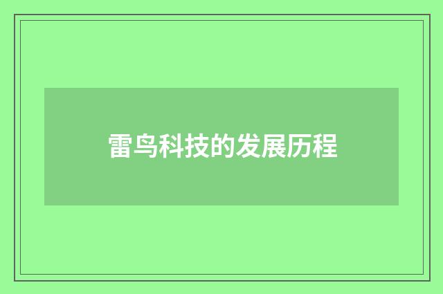 雷鸟科技的发展历程