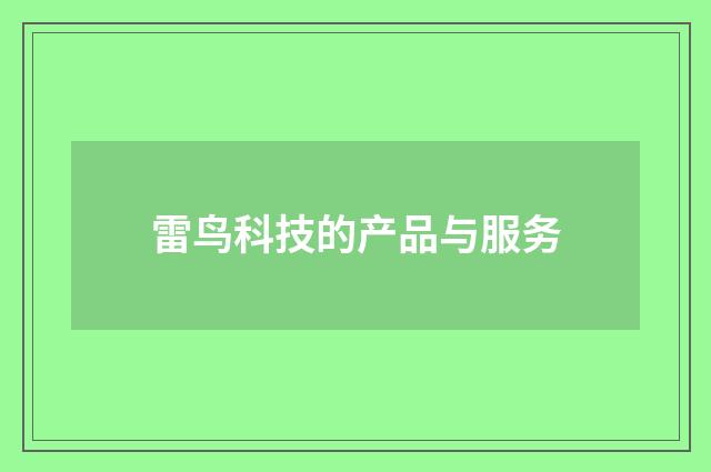 雷鸟科技的产品与服务