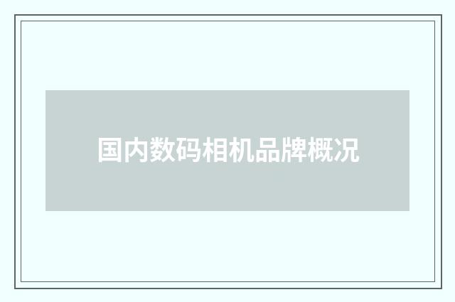 国内数码相机品牌概况