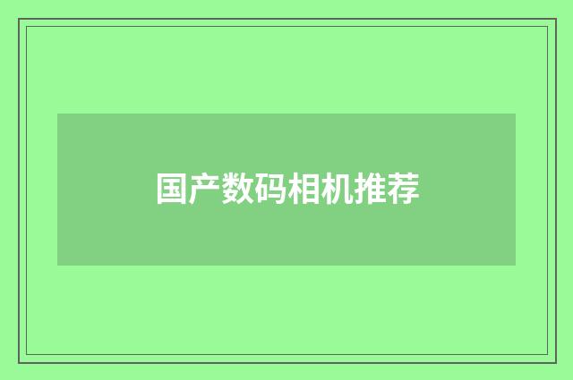 国产数码相机推荐