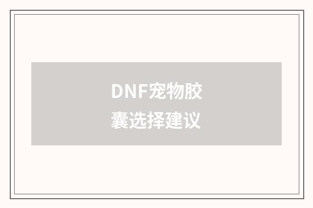 DNF宠物胶囊选择建议