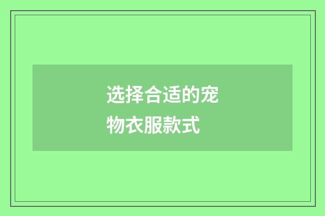 选择合适的宠物衣服款式