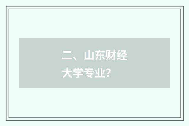 二、山东财经大学专业？