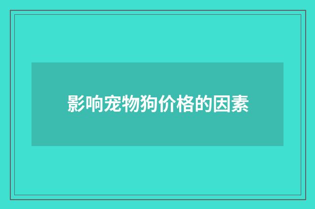 影响宠物狗价格的因素