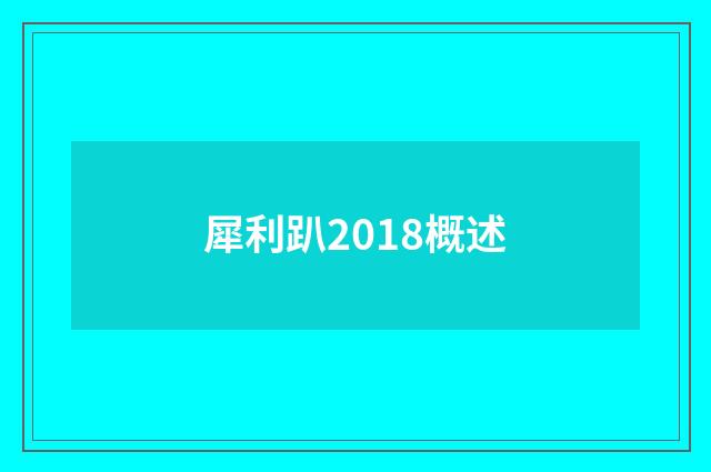 犀利趴2018概述