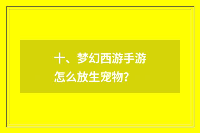 十、梦幻西游手游怎么放生宠物？