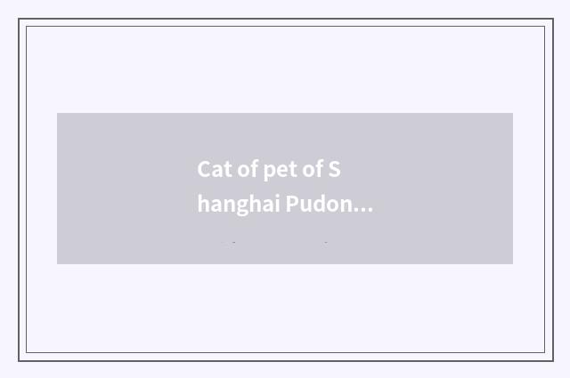 Cat of pet of Shanghai Pudong new developed area: Suit to raise feline reason an