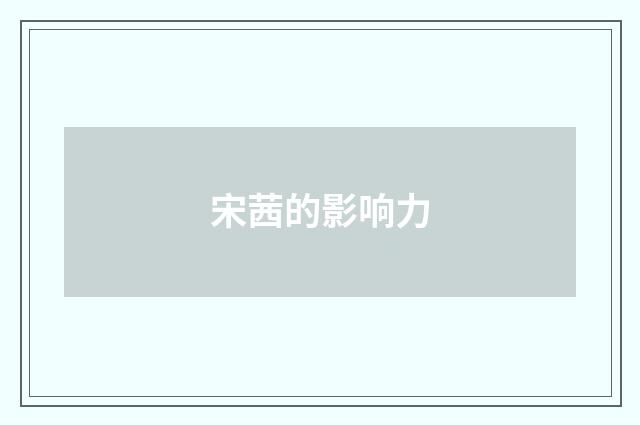 宋茜的影响力