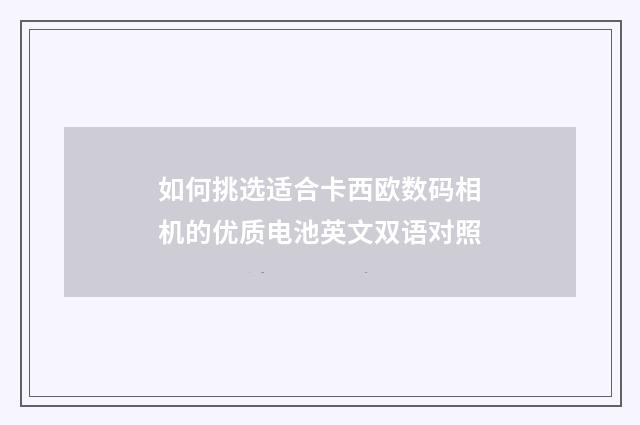 如何挑选适合卡西欧数码相机的优质电池英文双语对照